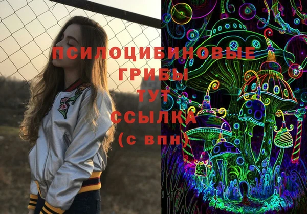 крисы Балахна