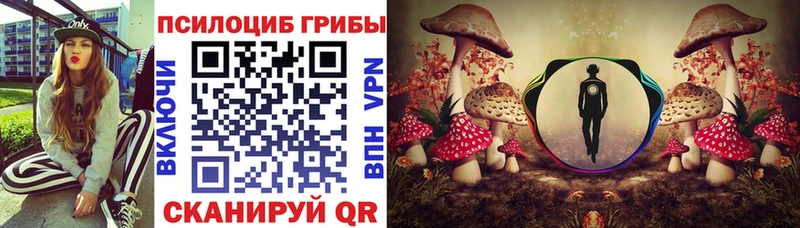 Галлюциногенные грибы Psilocybe  наркотики  мориарти наркотические препараты  Североуральск 